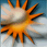 Partly Sunny