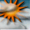 Mostly Cloudy